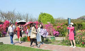 DSC_1261.jpg